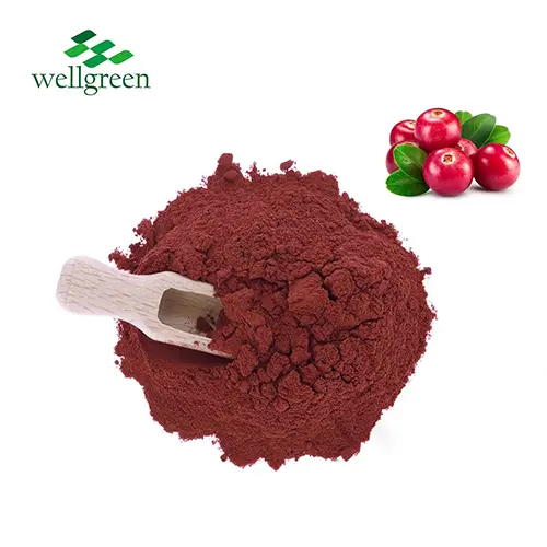 Vaccinium Myrtillus Extract